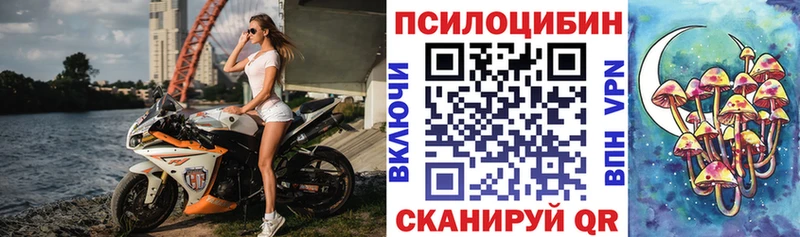 Галлюциногенные грибы Psilocybine cubensis  Дмитриев 